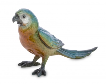 Decoration-parrot